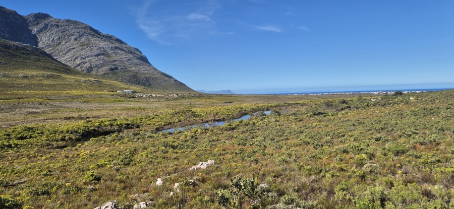 Commercial Property for Sale in Pringle Bay Western Cape